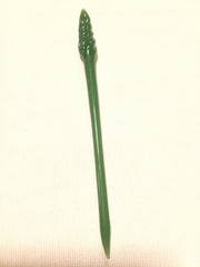 Set of 4 Cocktail Picks Surfside Sips