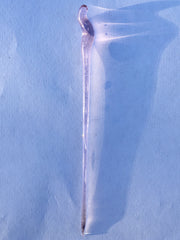 Set of 4 Cocktail Picks Surfside Sips