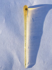 Cocktail Picks Surfside Sips