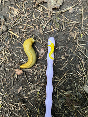 Add “Bartholomew” the Banana Slug to any straw (straw sold separately) Surfside Sips