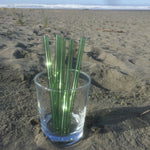 Set of Five Straws