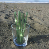 Set of Five Straws Surfside Sips