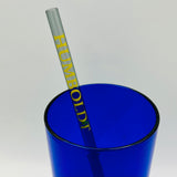HUMBOLDT decal glass straw Surfside Sips